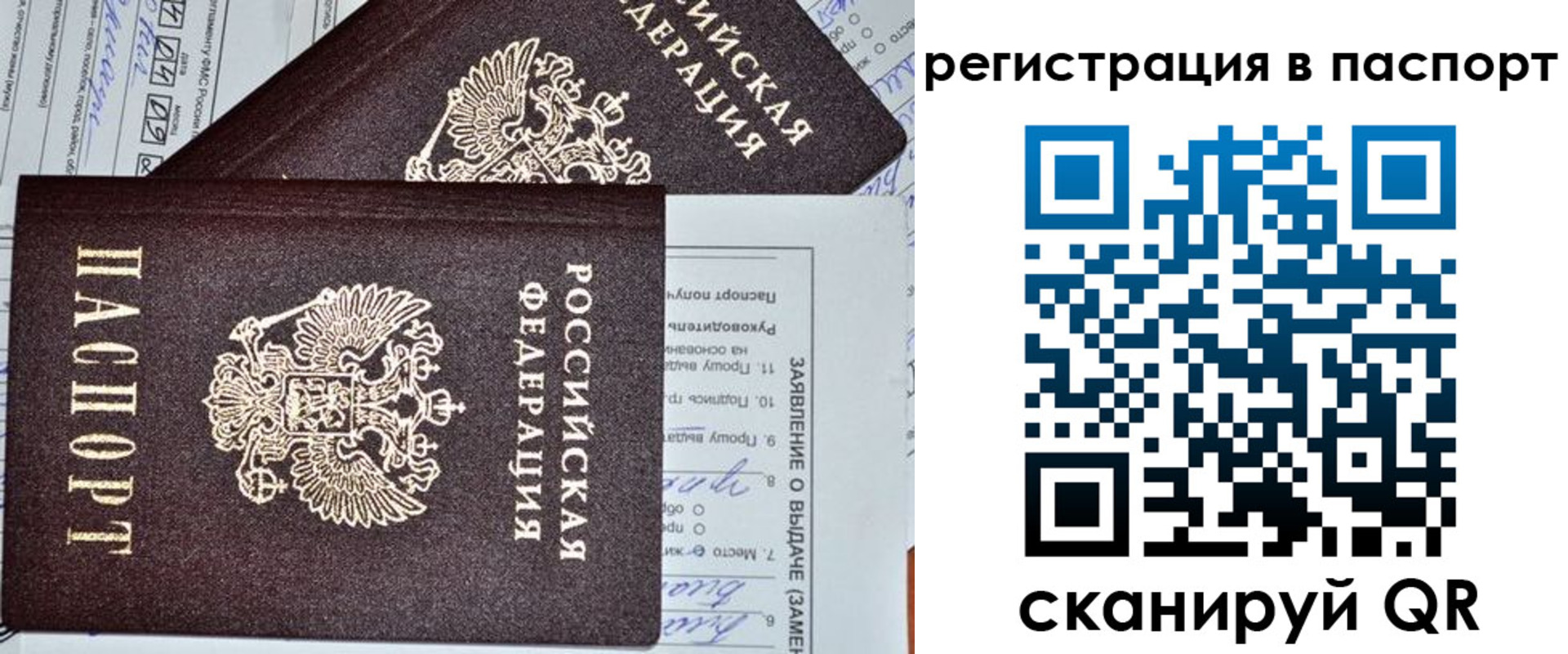 прописка законно в Орехово-Зуево